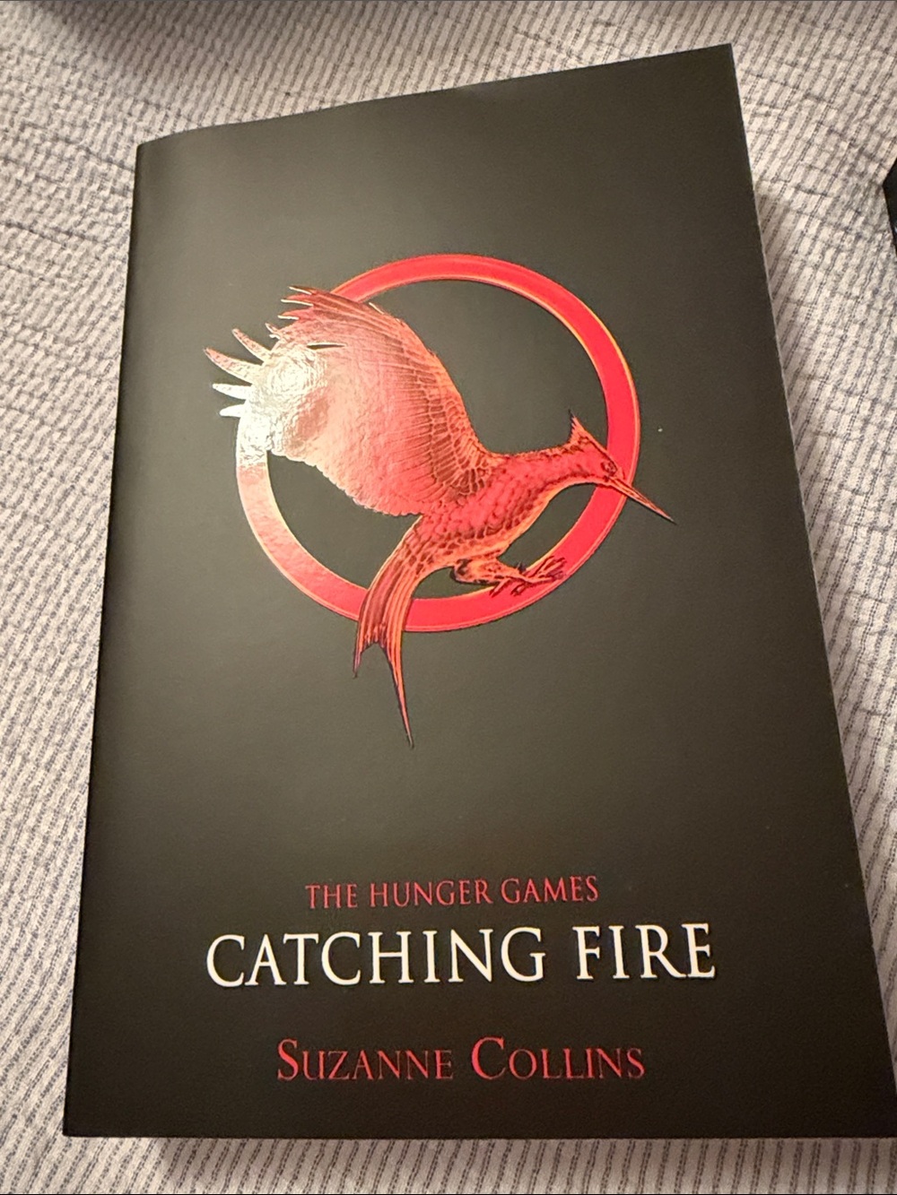Scholastic The Hunger Games Trilogy Box Set - Black with Gold Red Blue Emblems - Picture 6 of 7